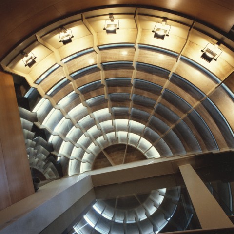 cyo_7